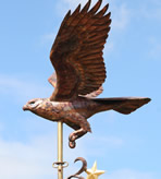 Buzzard over Golden Star Weathervane