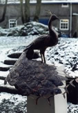 Ornate Peacock Sculpture